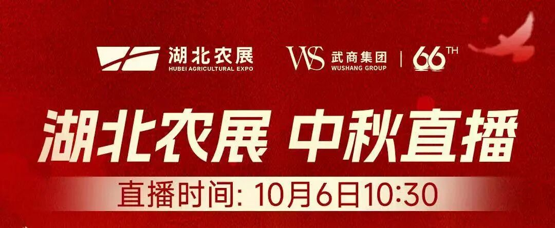 �й���1277�Ǽʵ�����Ϸ(�ɷ����޹�˾)-Official website